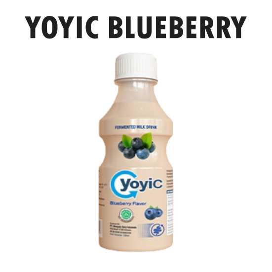 YOYIC Blueberry